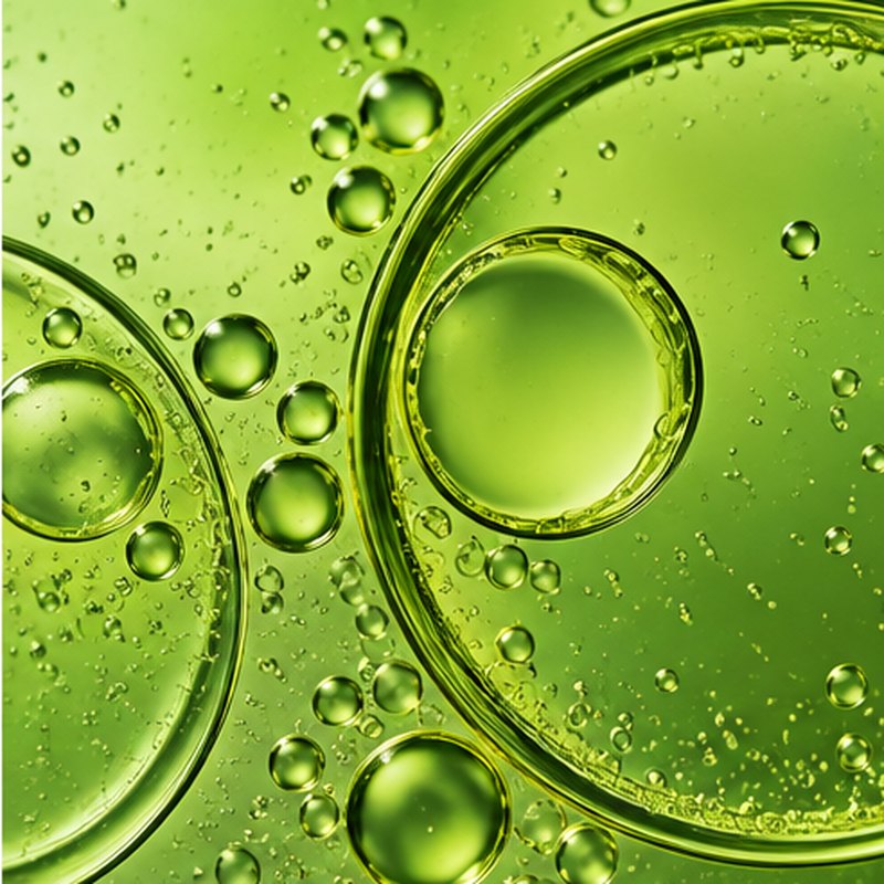 Green cellular-pattern detail