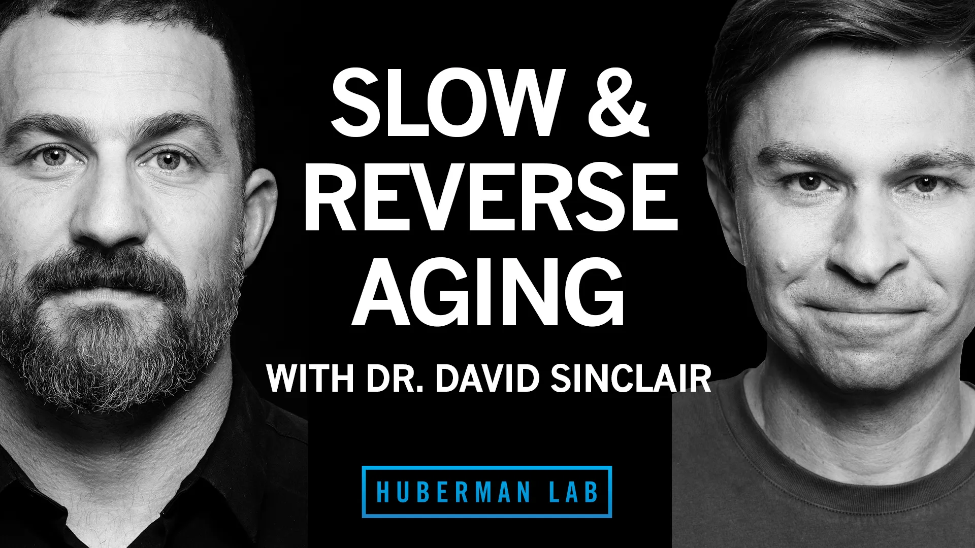 Huberman Lab episode artwork featuring David Sinclair, PhD